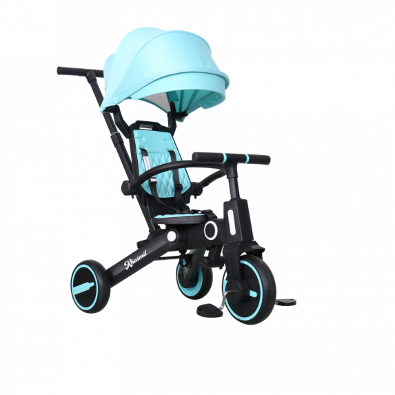 8B9A3282-no-bg-preview (carve.photos)